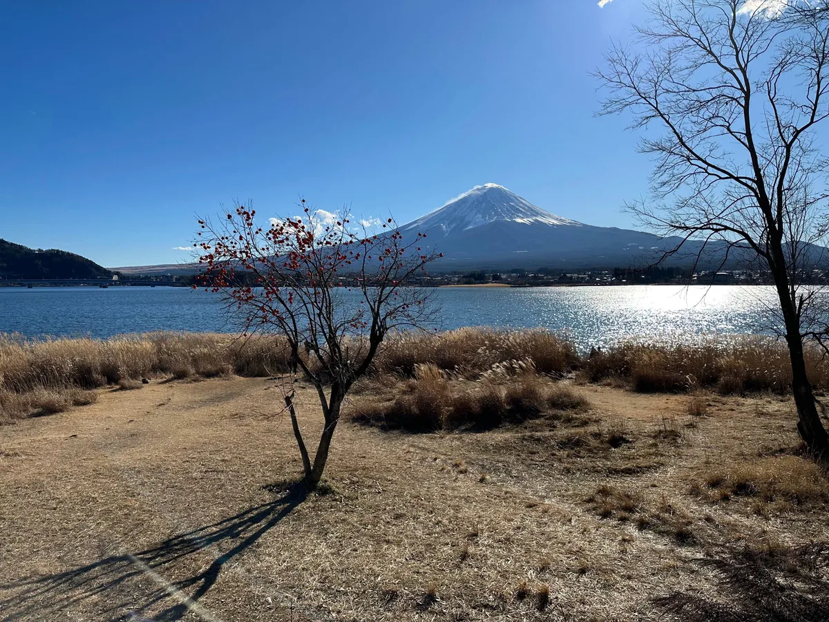 11 BEST Things to do in Kawaguchiko (Mount Fuji)