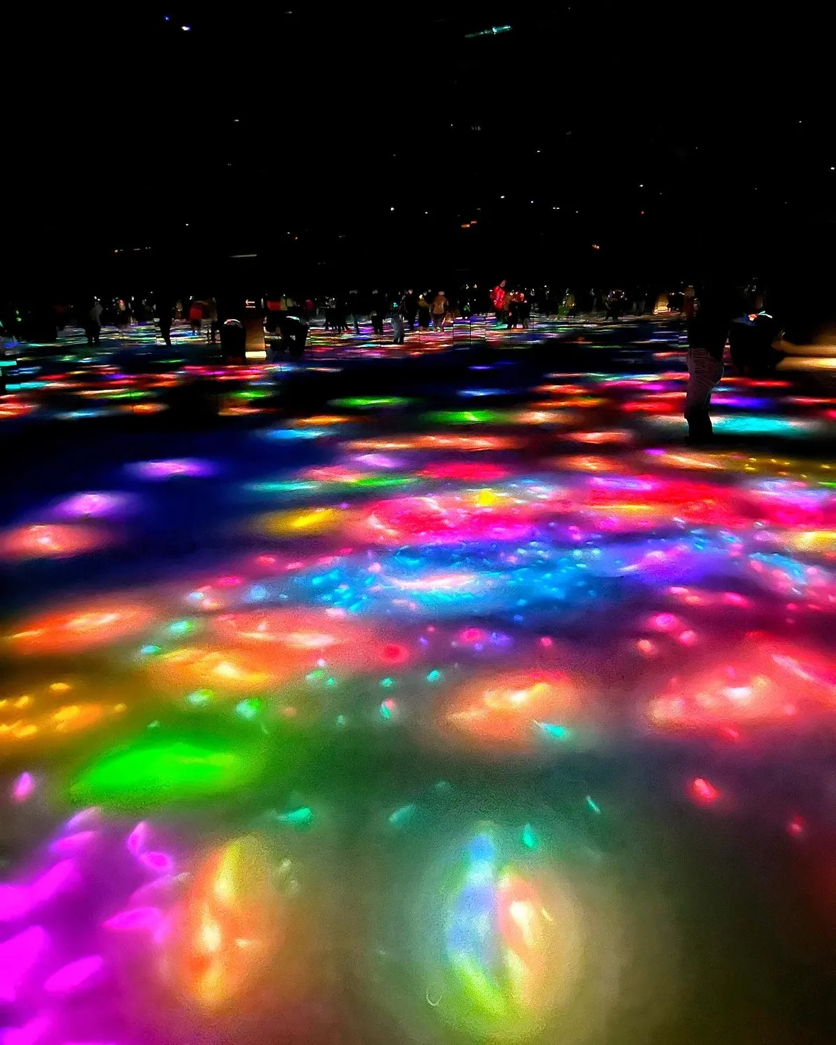 15 Best Things to do in Tokyo, Japan! 2022-2023