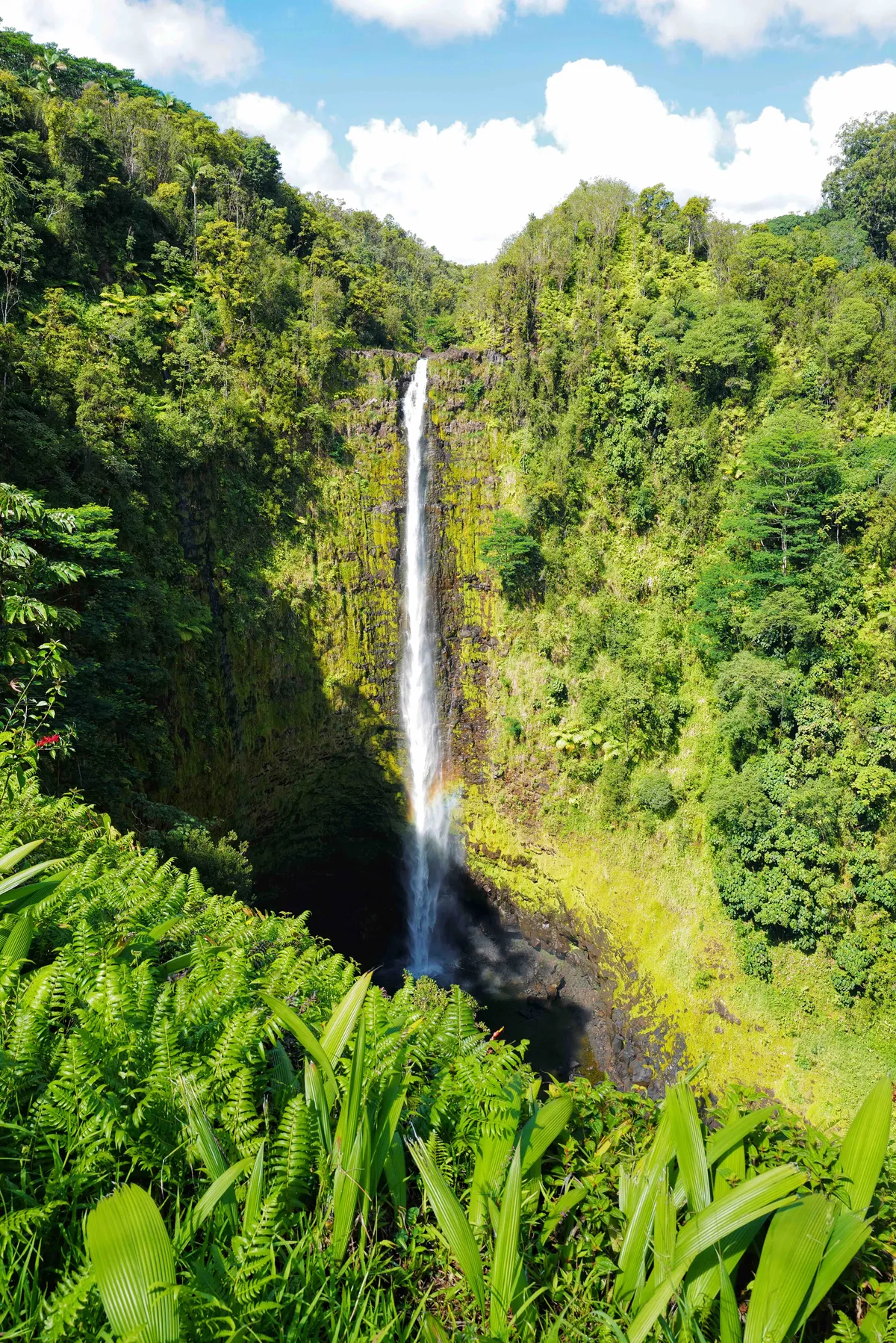 21 Things to Do in Big Island in 4 Days!