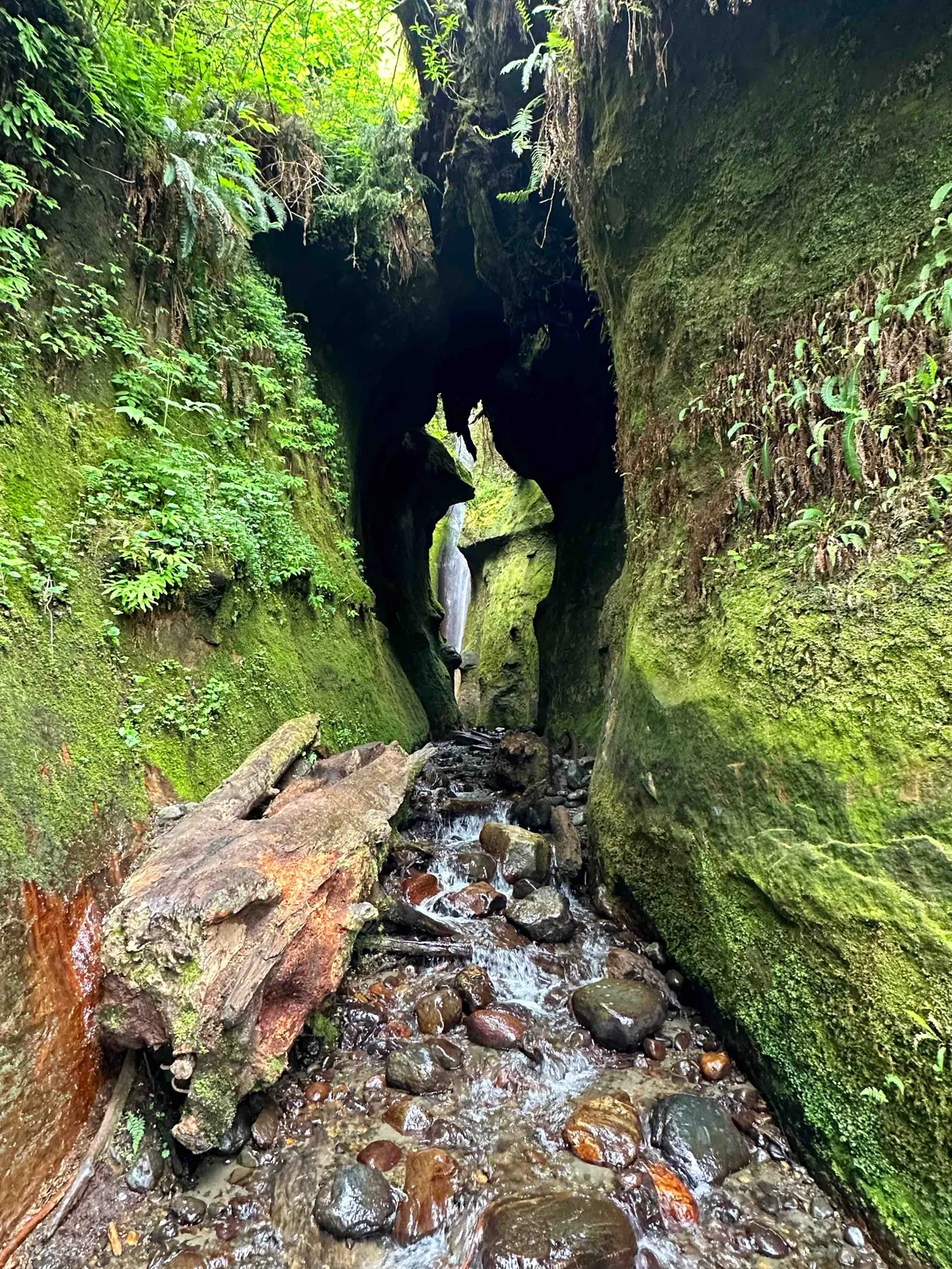 Your Guide To Vancouver Island! 